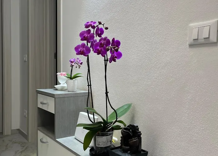 Apartamento Orchidea *