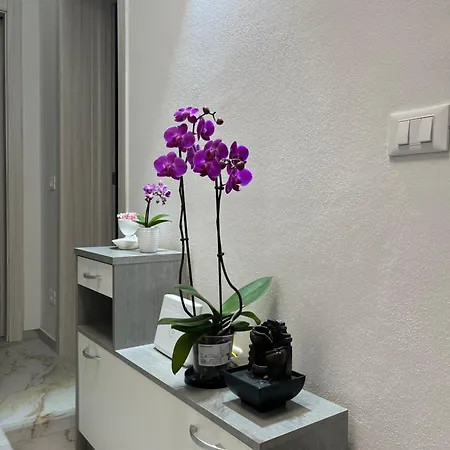 Apartment Orchidea *